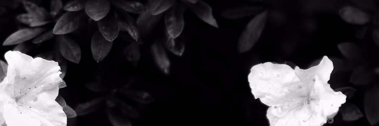 nichck's profile banner image