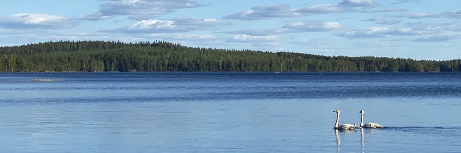 Jiri Vidgren banner