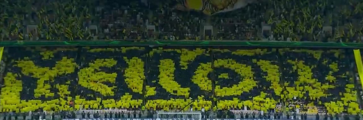 رِيم banner