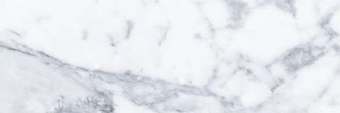 alicemilann's profile banner image