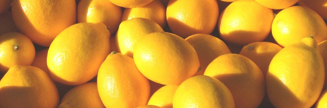 Lemon4delaide's profile banner image