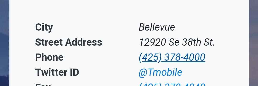 amir pilipovic banner