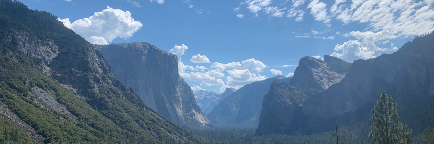 Nathan Timbs banner