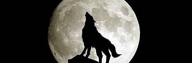 kursad06k's profile banner image