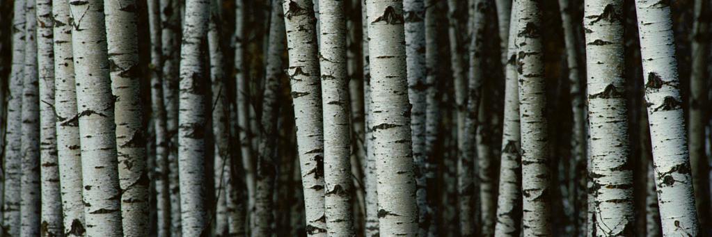 britapedersen's profile banner image