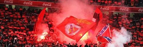 Rui Maia banner