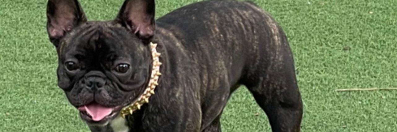 __millzzz's profile banner image