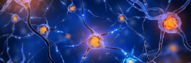 __SmallBrain__'s profile banner image