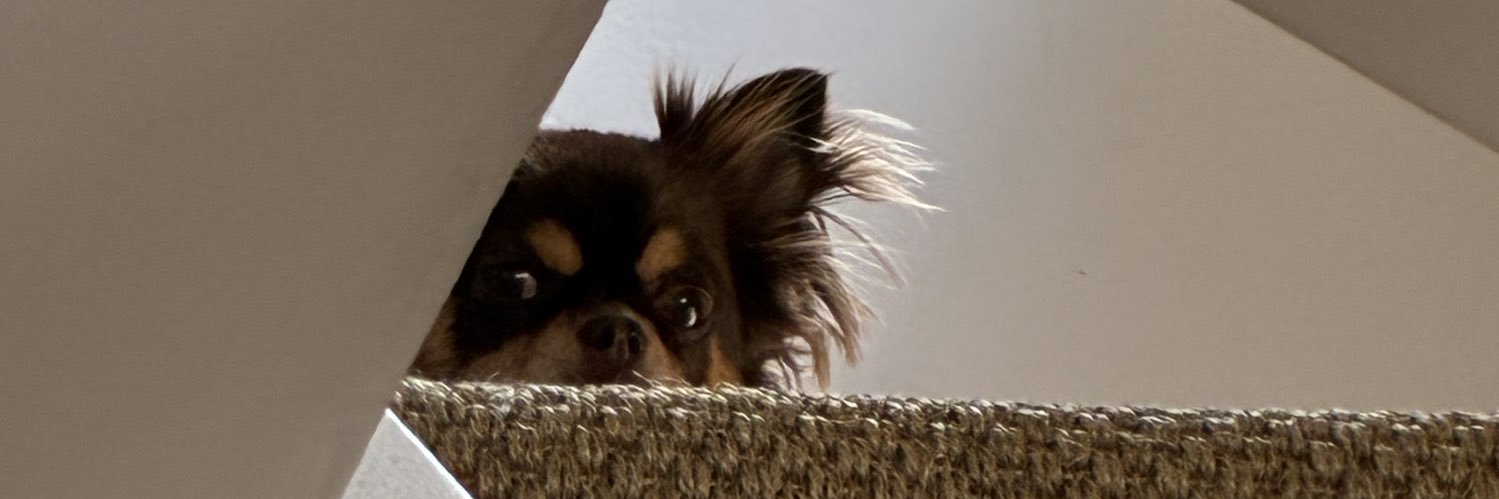Larky78's profile banner image