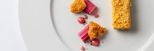 ThePigGuide Profile Banner