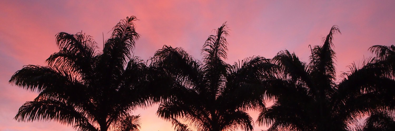 floramoody's profile banner image