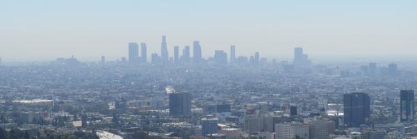 deSnavelt Profile Banner