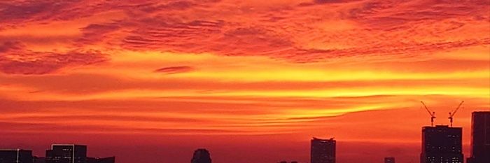 とまべっちー banner