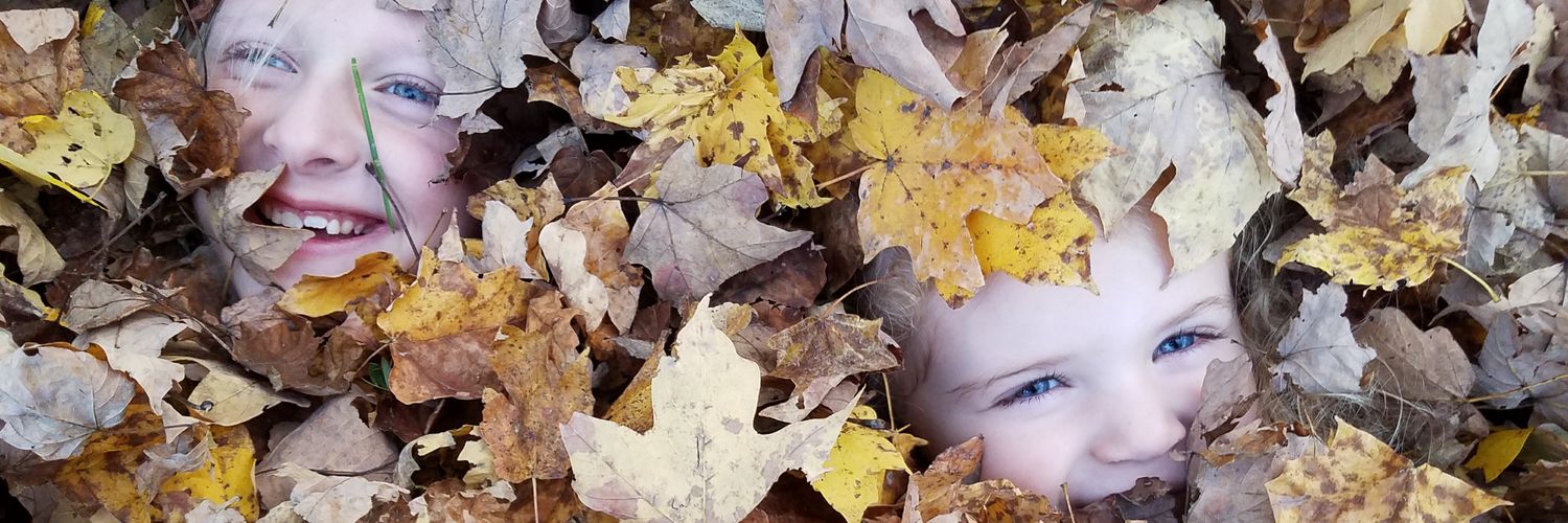 Charli Anne banner