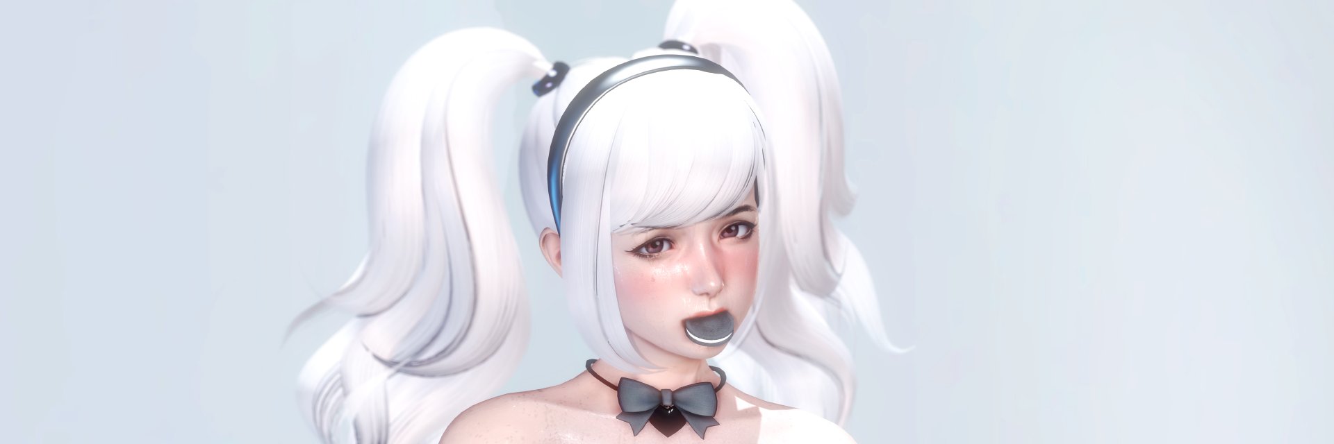 Thelewdcookie banner