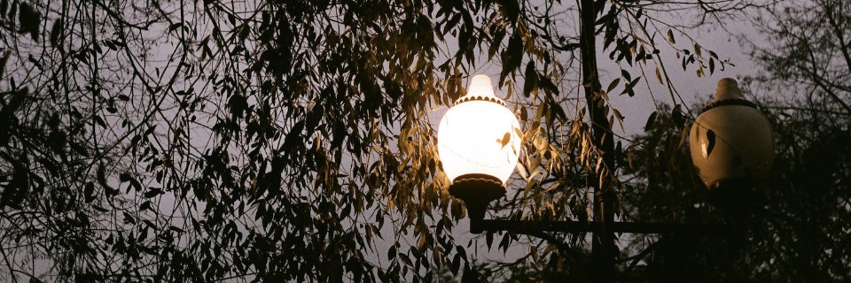 daryamarcha's profile banner image