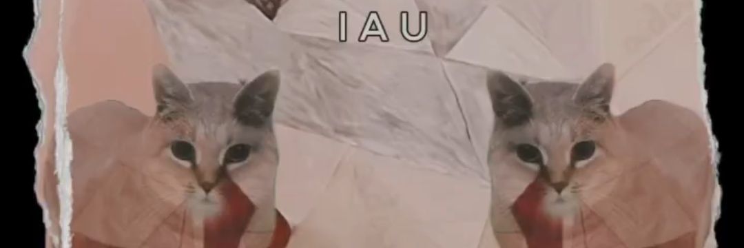 4mat.spinning cat banner