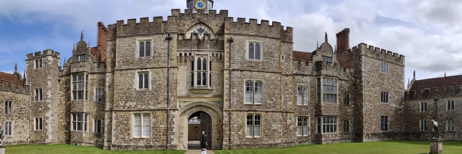 Emily they/she ☮ banner