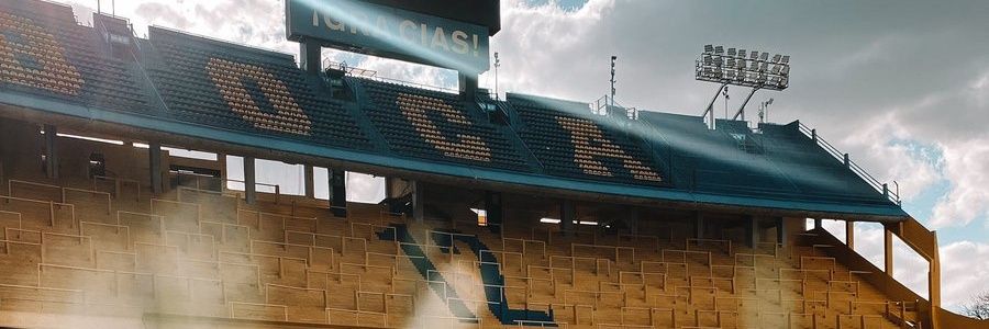 DaaiMaga's profile banner image