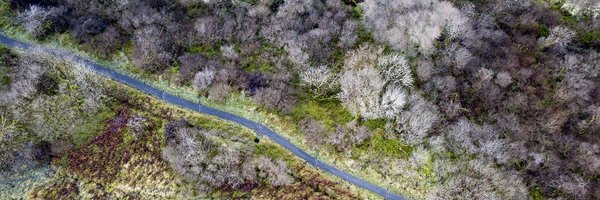 _peterdn Profile Banner