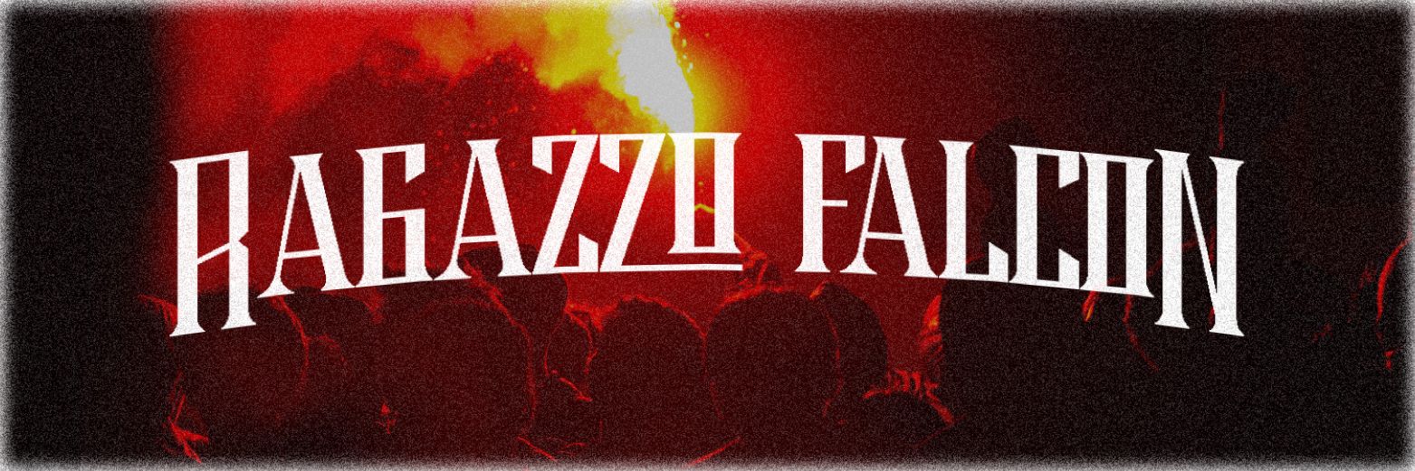 Ragazzo Falcon banner