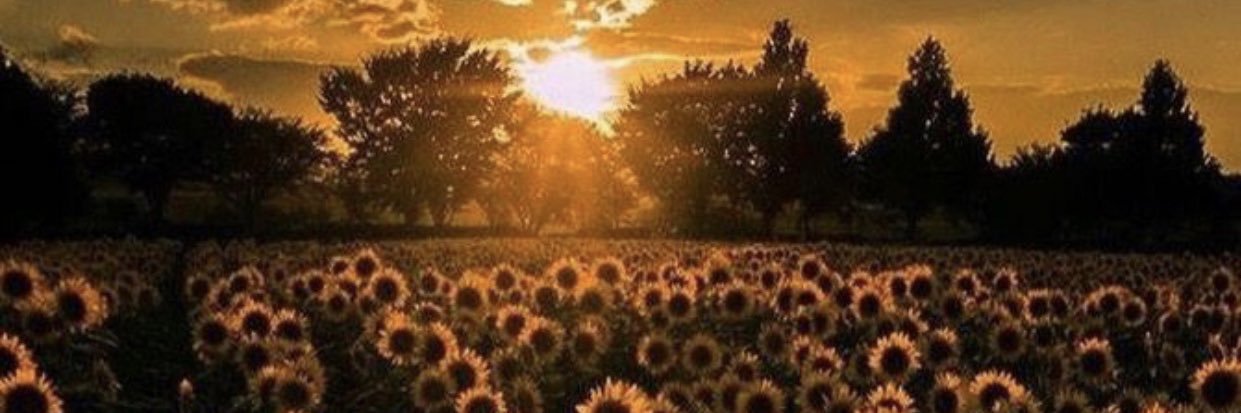 LexeeBorgeson's profile banner image
