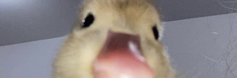 _morgy_s's profile banner image