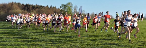 SedgeHarriers Profile Banner