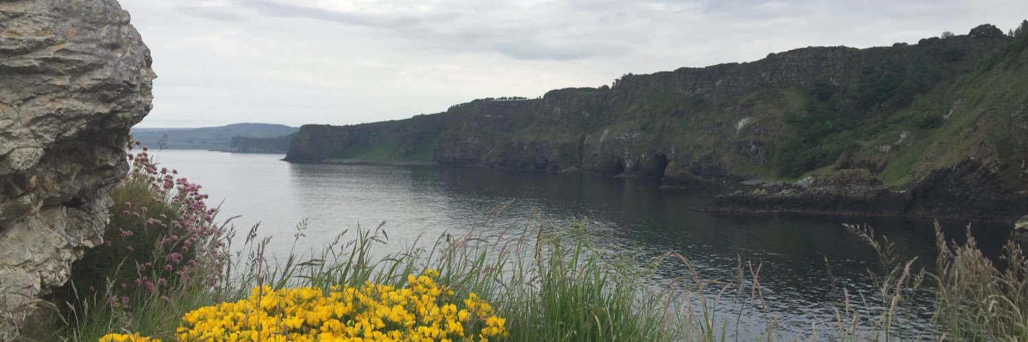 cultchie's profile banner image