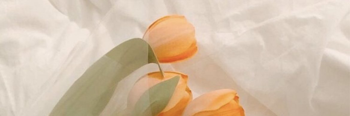 _trhk_ab's profile banner image