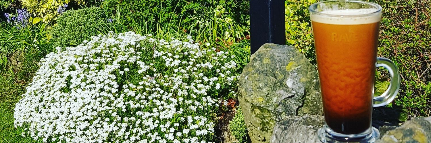 #ravennitrocoffee banner