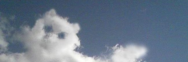 MargauxShames's profile banner image