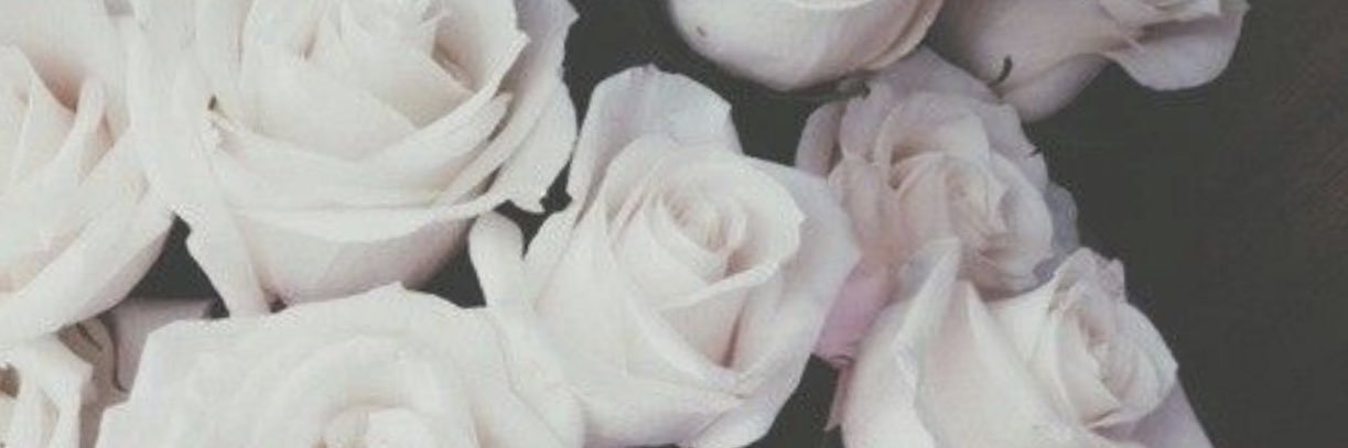 VeronicaaRuizz_'s profile banner image