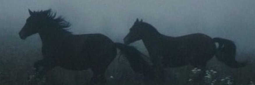 semihteberik's profile banner image