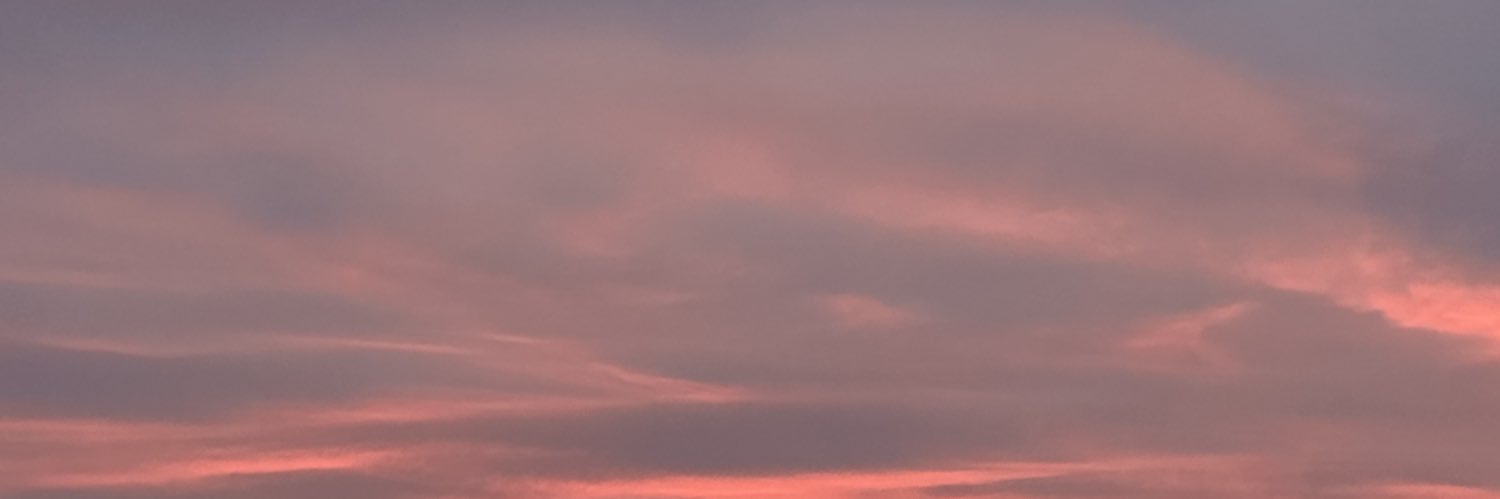 sunkissssedd's profile banner image