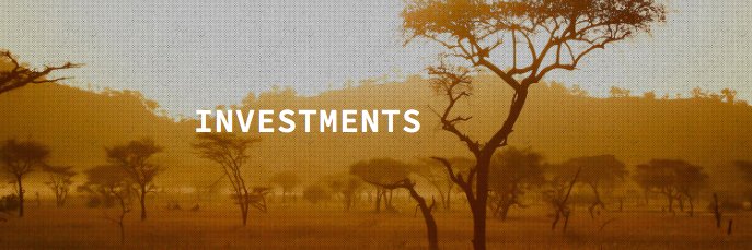 Optimizer Foundation banner