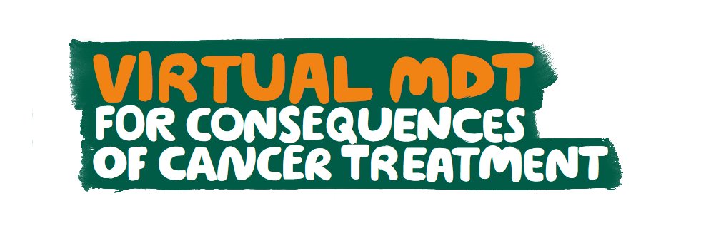 Macmillan Virtual MDT (vMDT) banner