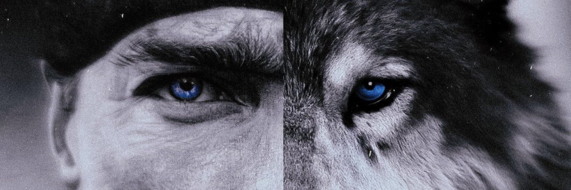 AliUzell's profile banner image