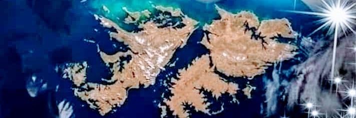 roberto bustos banner