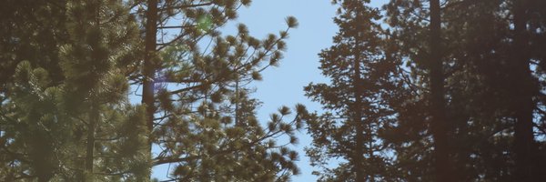 irencs Profile Banner