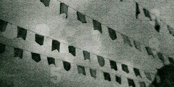 phanitadasilva's profile banner image