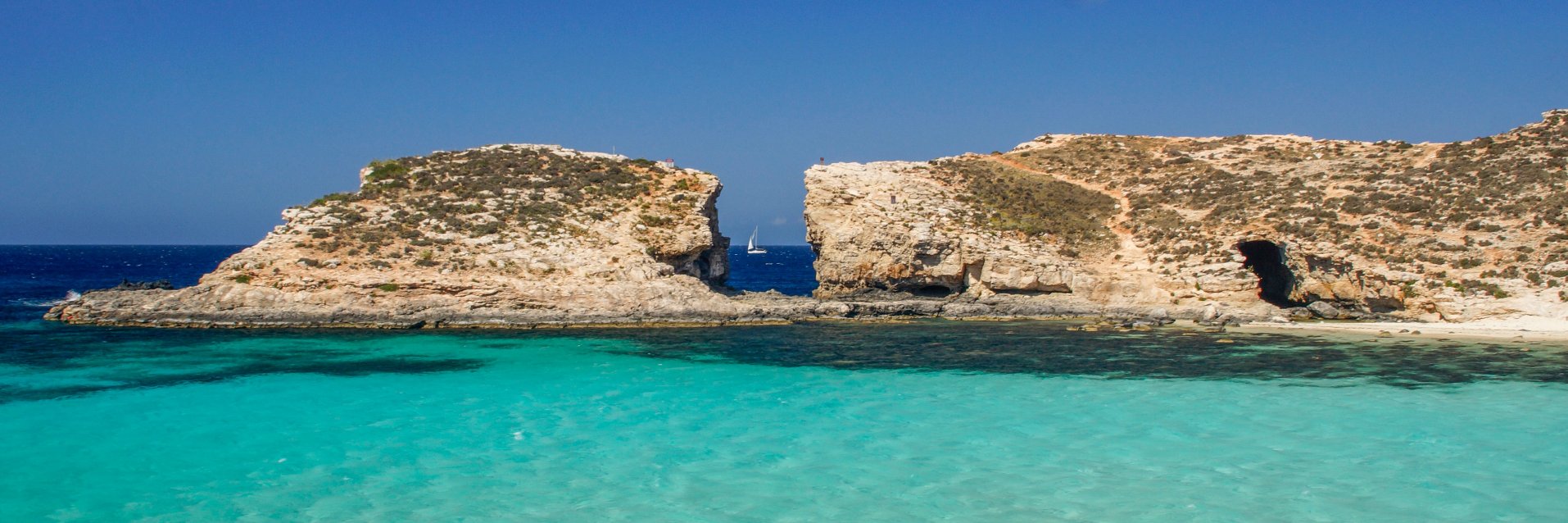 Lars Nilsson Dellgren banner