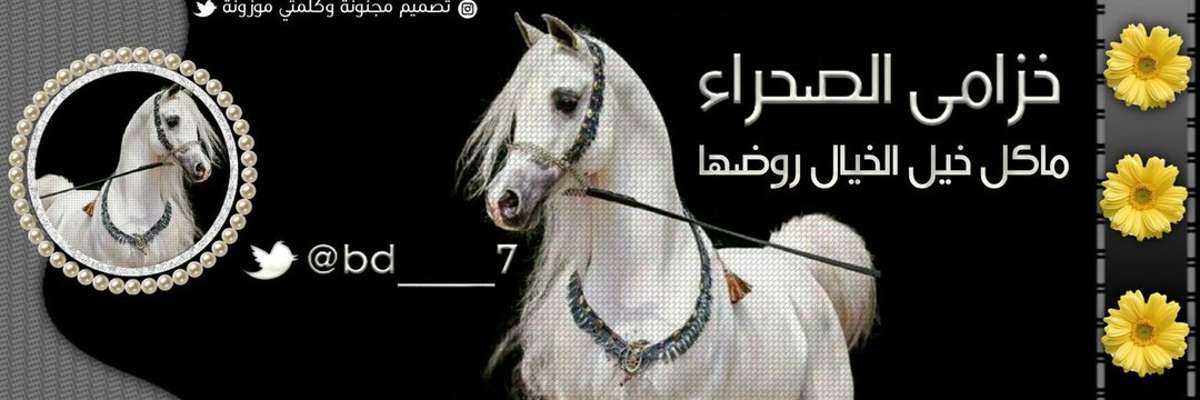 خزامى الصحراء banner