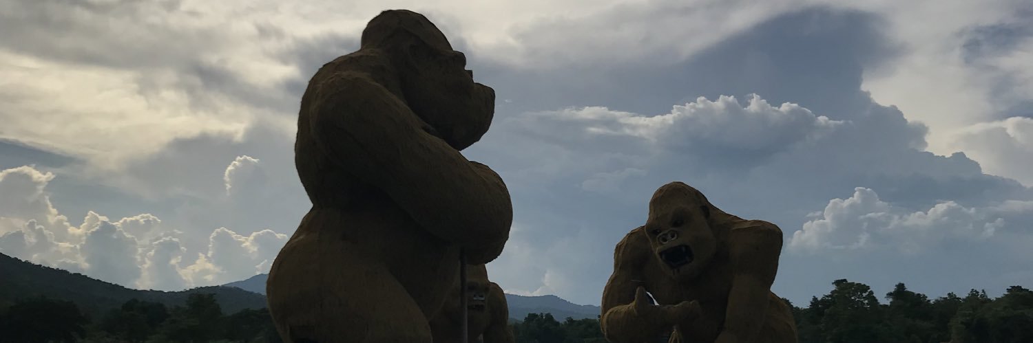 plsnut_'s profile banner image