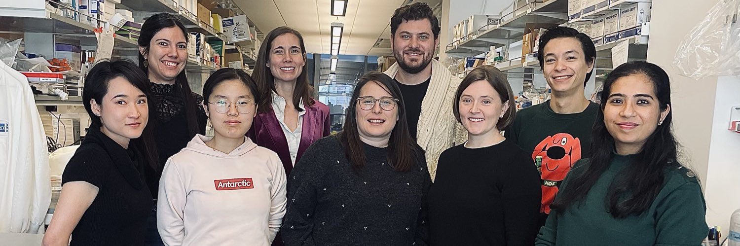 Katherine Aird banner