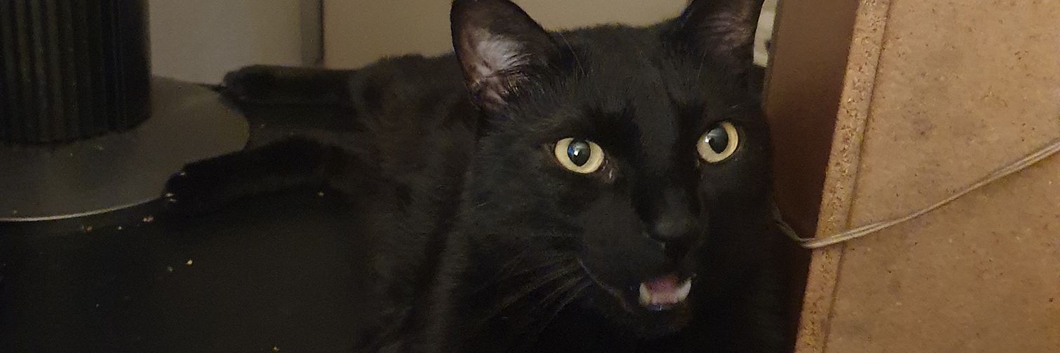 Putita_Vader banner