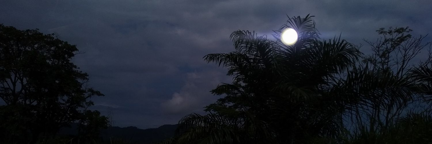 ImsShatima's profile banner image