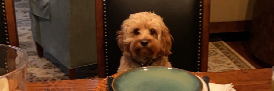 Bdoe8's profile banner image