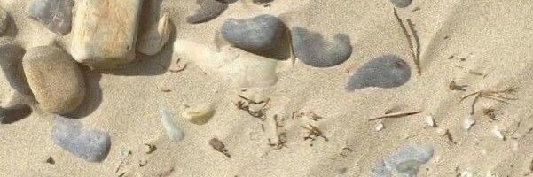 𝓍𝒾𝓈 ꣑ৎ banner