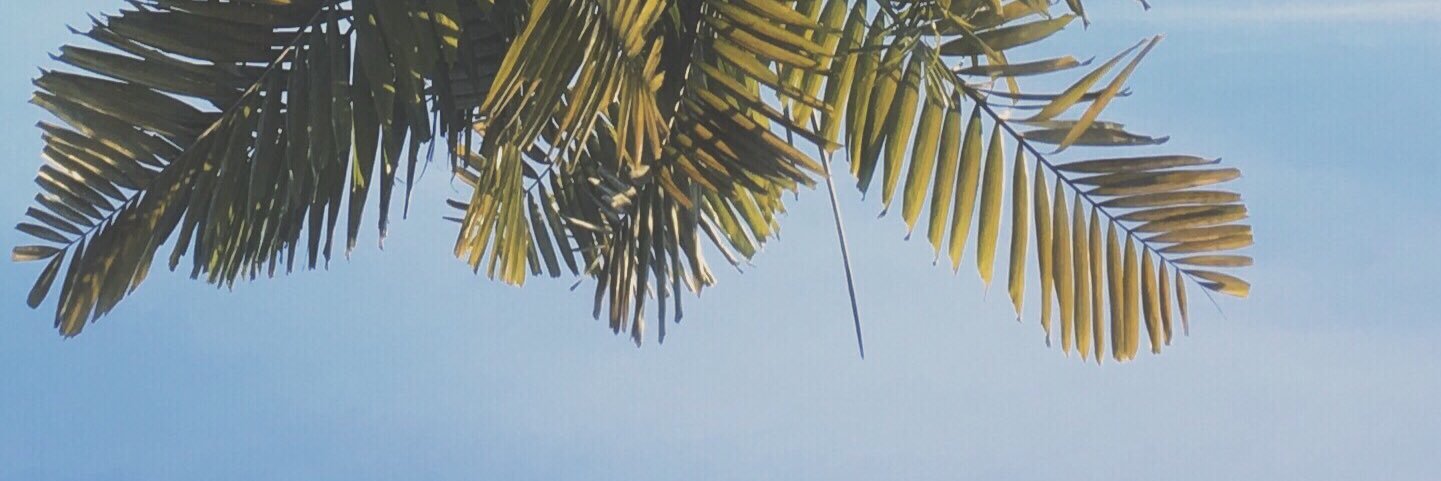 emteetattoo's profile banner image